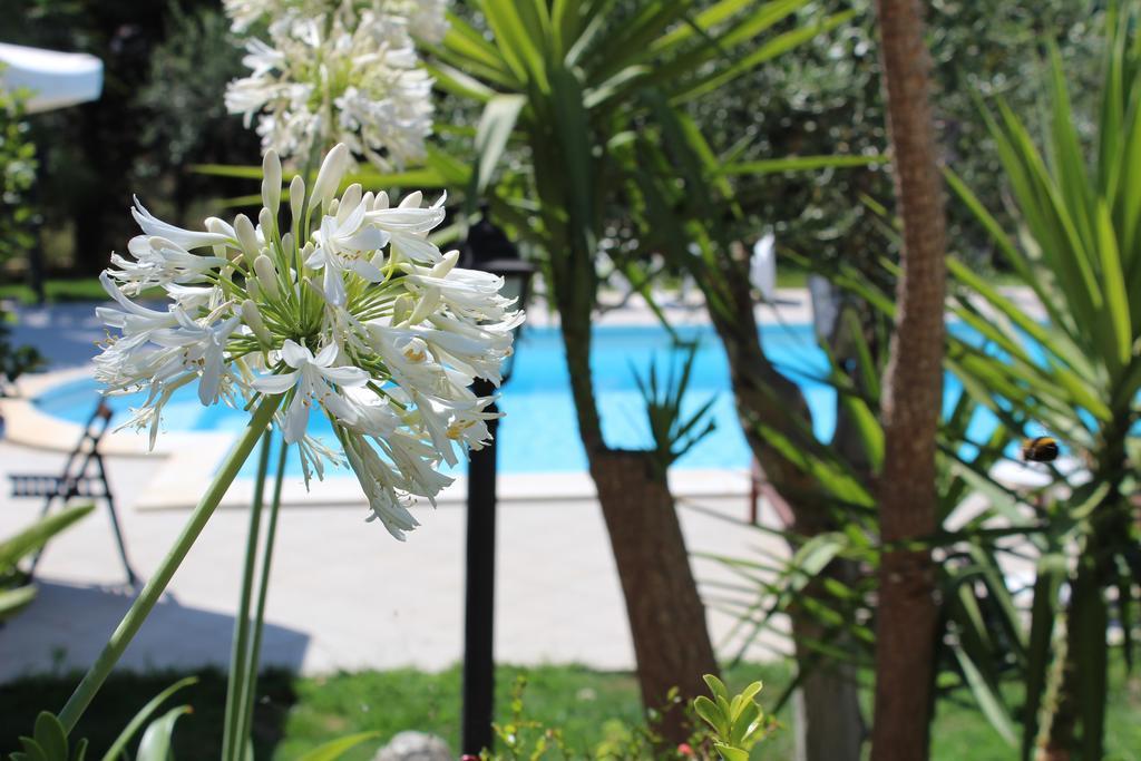 إيسبيكا Villa Orchidea Luxury B&B المظهر الخارجي الصورة